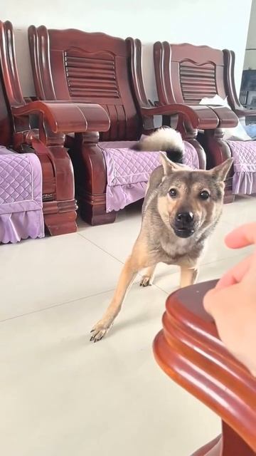 1000072401.mp4
