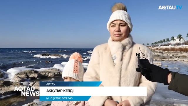 АҚТАУҒА АҚҚУ КЕЛДІ