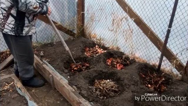 Работаю в теплице, может у соседей проснётся совесть.