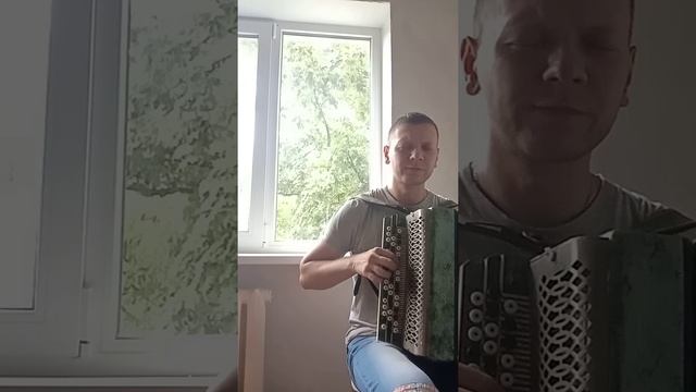 Наутилус Помпилиус - Крылья (баян) #наутилуспомпилиус #песнинабаяне #баянкавер