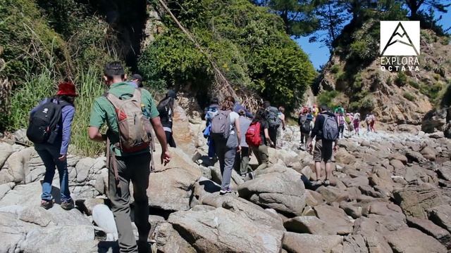 Península de Hualpén - Explora Octava