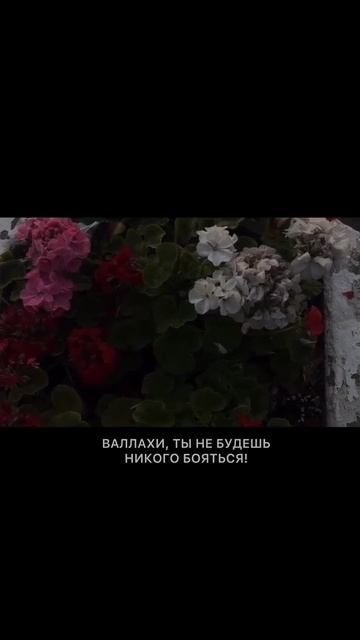 Предопределение в исламе