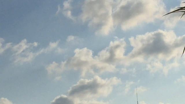 Русские Витязи в Сочи, выступление проходило 28.09.19 (видео № 5)