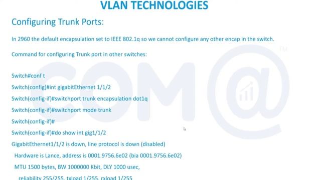 Configuring VLAN's on Switch | Switch | VLAN Configuration Step by Step