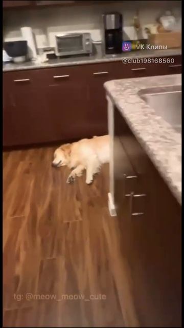 VID-20250123-WA0010
