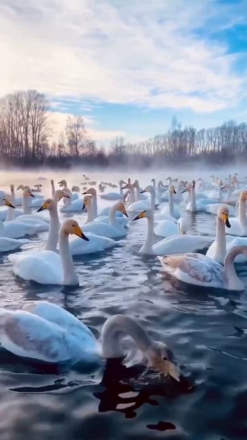 Закат в Крыму 🌇 Алтайский край, Озеро Сетлое 🫶🏻