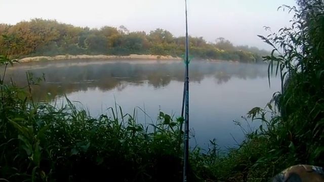 Рыбалка на Суре  в августе.