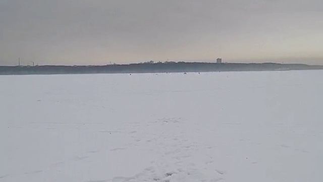 26.01.2025 Отчет о рыбалке на Белоярском водохранилище. Белая рыба бастует, зато окунь клюёт!
