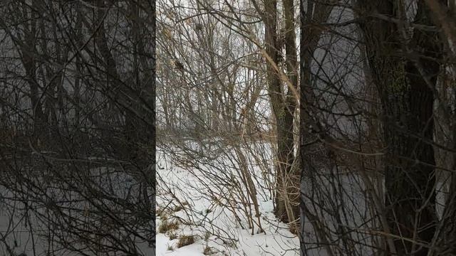 СНТ Залив. Ульяновск