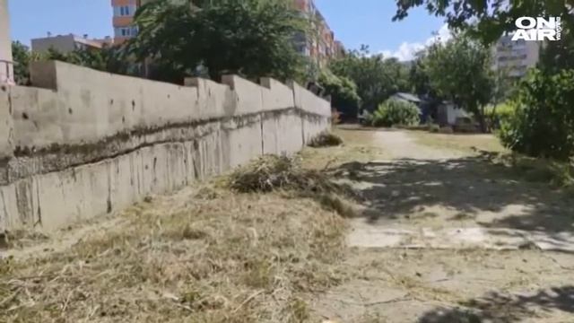 Бум на ухапани от кърлежи: В Благоевград започва повторно пръскане на тревните площи