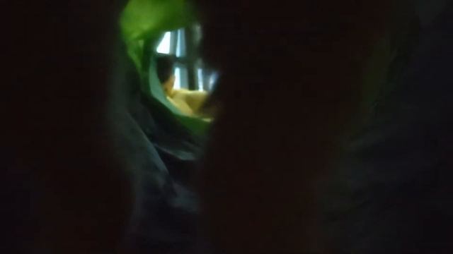 He Crawled Through The Tunnel Just To Sit On The Camera And Purr