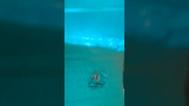 26-01-2025 лифт мало грузовой