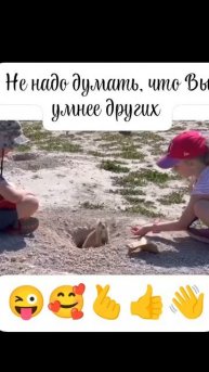 Видеть суслика? Нет?! А он есть!! ;))).mp4