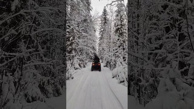 Зимние покатушки