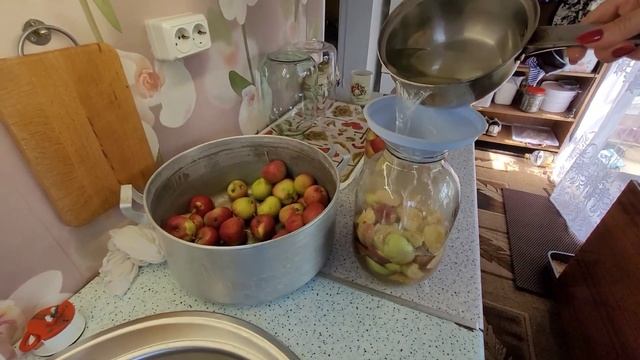 УЗНАЛА НОВЫЙ МЕТОД/ ЦВЕТЕНИЕ ГОРШЕЧНЫХ ЛИЛИЙ/ РАЗМНОЖАЮ КЛУБНИКУ