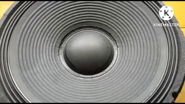 15" 220=25 Rcf modal 800 watt