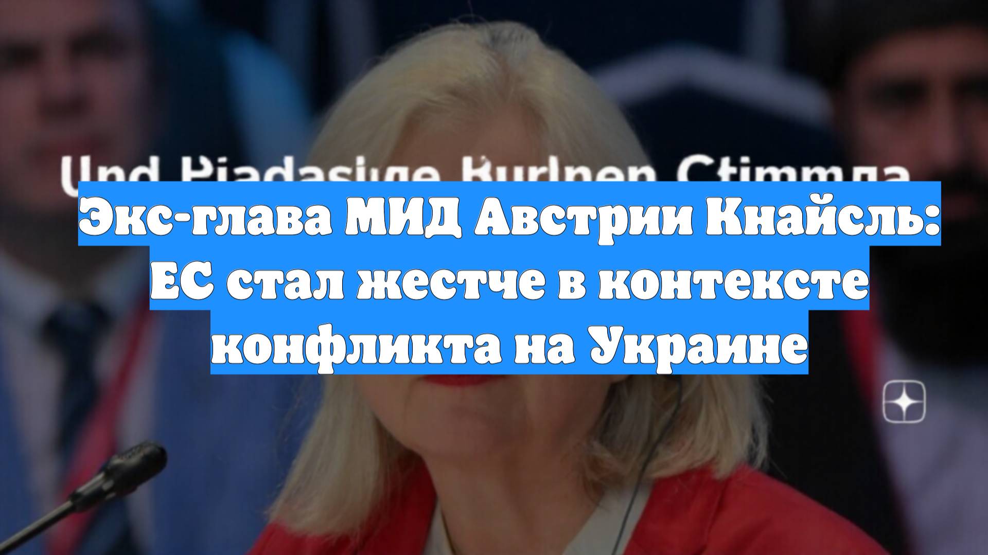 Экс-глава МИД Австрии Кнайсль: ЕС стал жестче в контексте конфликта на Украине