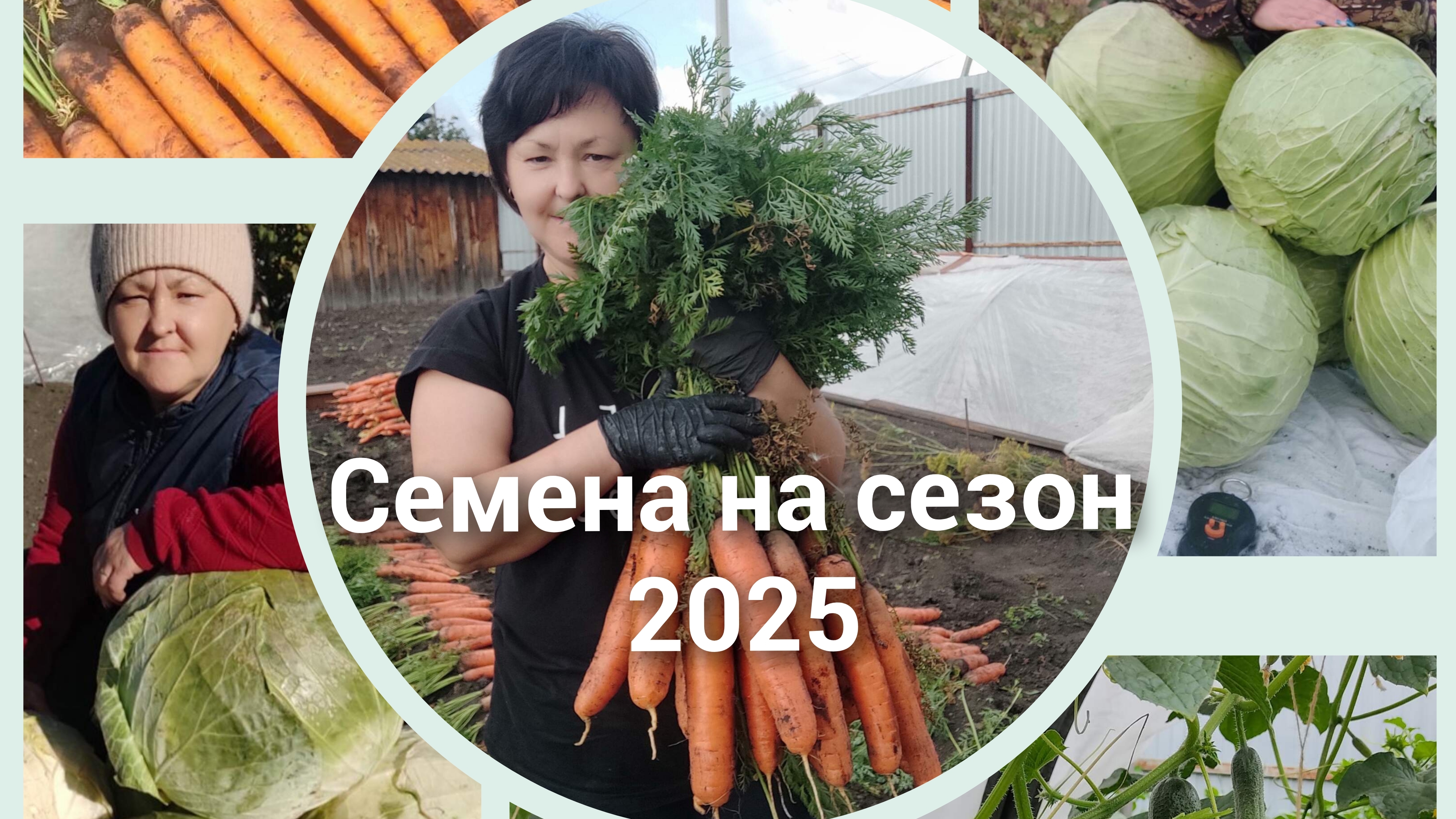 Семена овощей на новый сезон 2025.