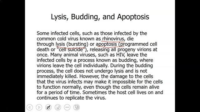 112Viruses(3)