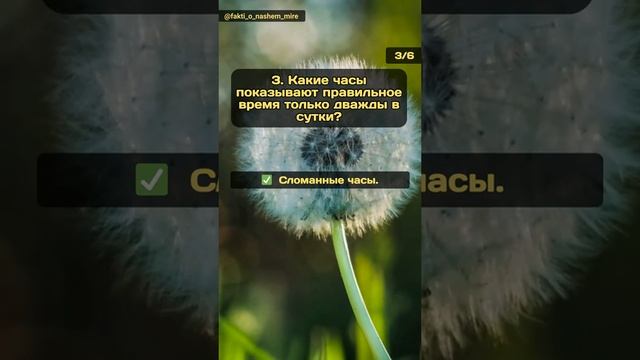 Загадки человечества №13