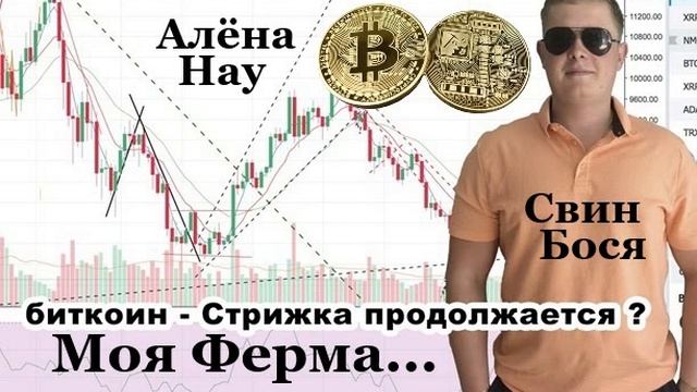 Свин Бося . Моя Ферма...
