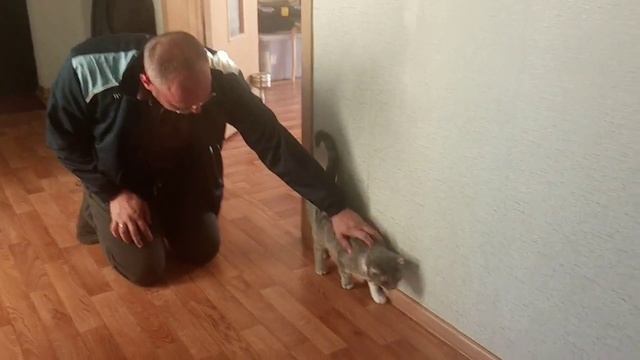 Бежит на встречу