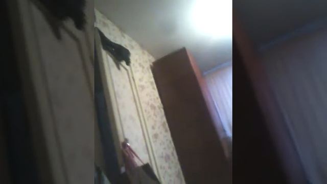 Я остался 1 дома