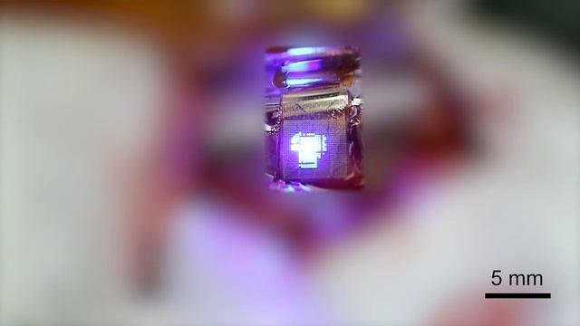 Des LED pour visualiser l'activité cérébrale - 4