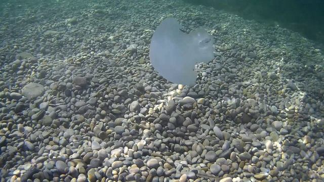 Под водой - Черное море