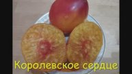 ТОМАТЫ. Проверенные сорта. КАТАЛОГ ТОМАТОВ 2024 г. Часть 3. г. Киров