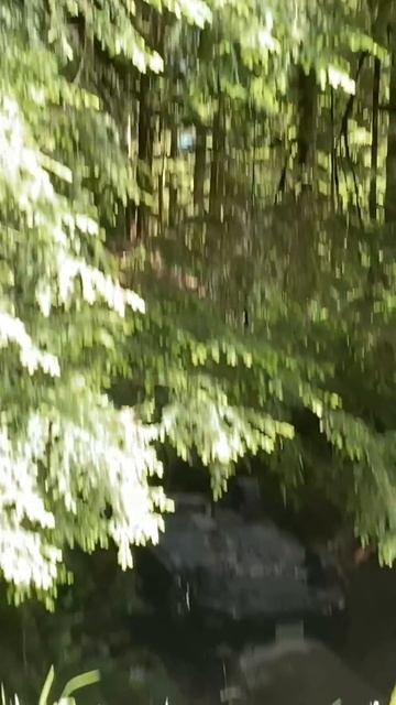 Посмеемся (146)