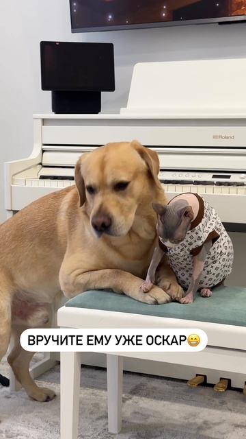 Какой же он показушник🙈