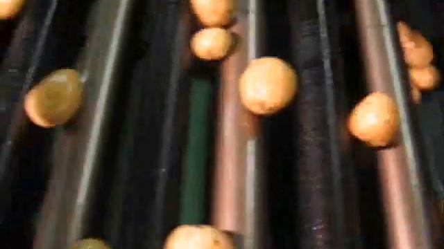Калибровка картофеля роликовая