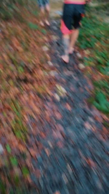 День 456! ❄️ Встретились у подножия купели, дышали воздухом 🌿 и купались в водопаде 🌊. Отлично! 💪