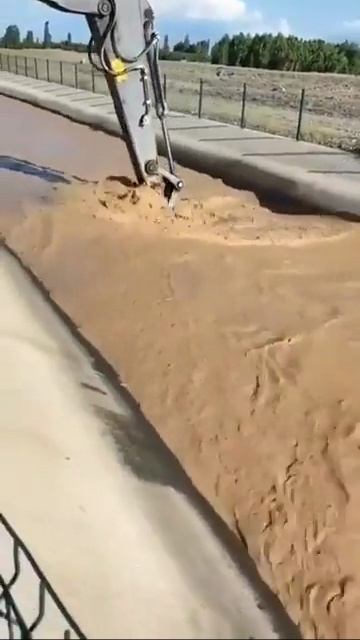 1000046375.mp4