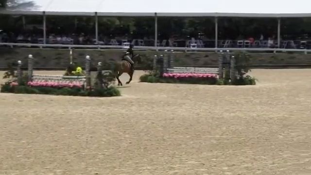 Video of MARVEL COMIC ridden by GIGI MANIGAULT from ShowNet!
