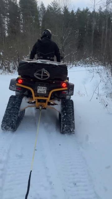 #shweps #швепс #шарья #зима #квадроцикл #stels #guepard #yamaha #raptor #покатушки