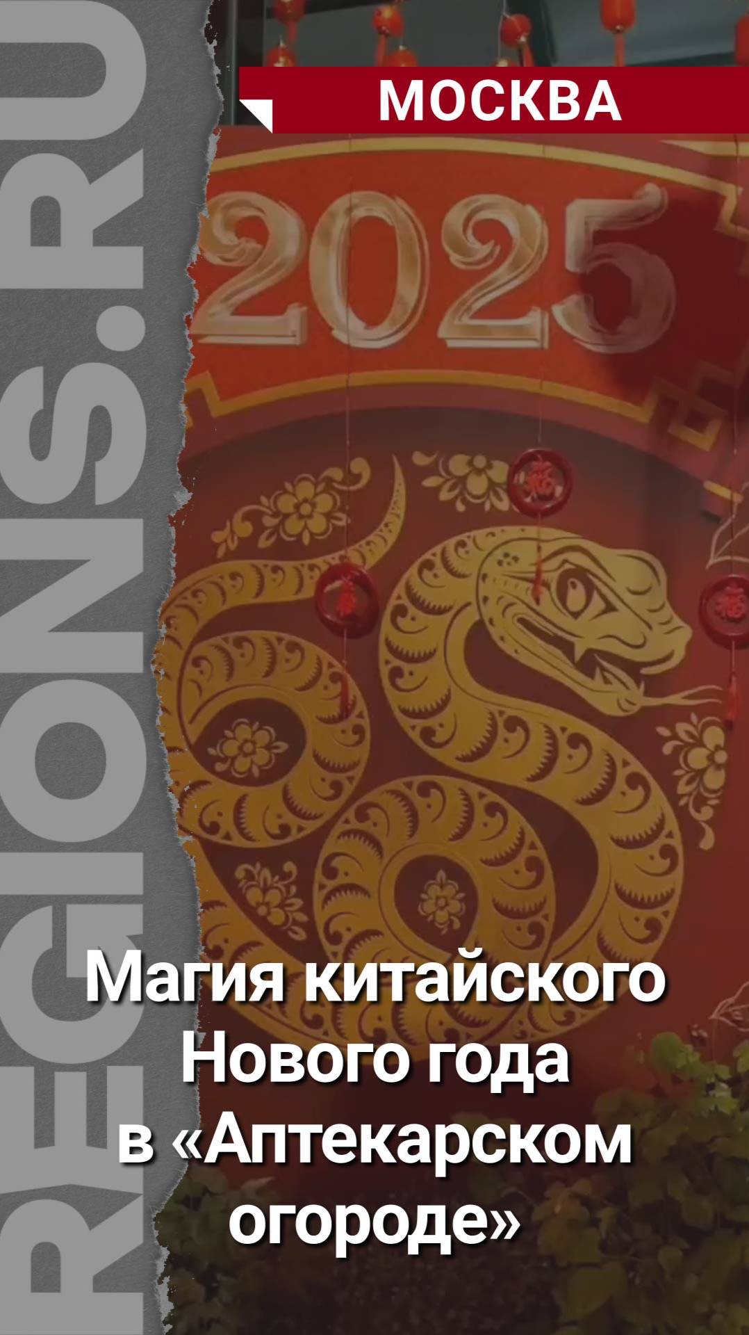 Магия китайского Нового года в «Аптекарском огороде»