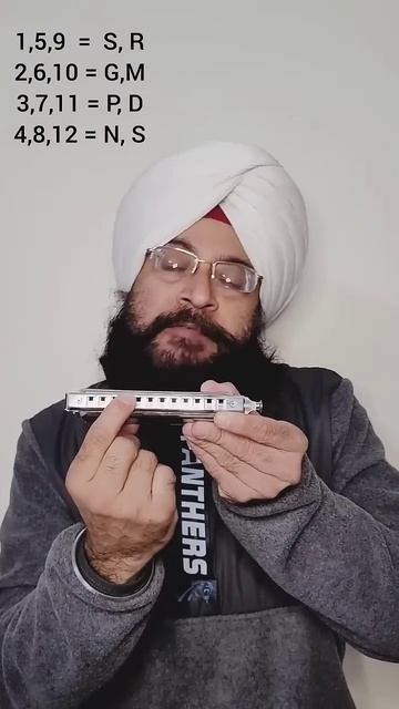 Harmonica beginner to master | Why 12 hole chromatic
