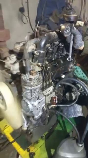 Дизель мтз Д-242