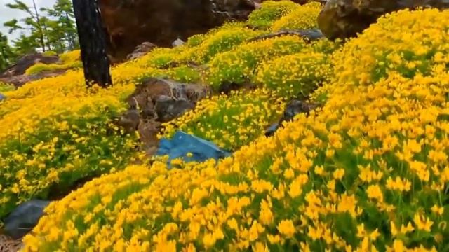 ReOrder - Sky Harbour (Original Mix) РИТМ СЕРДЦА