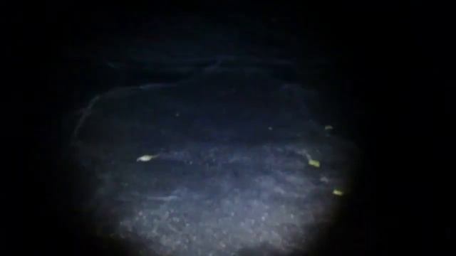 Lieren 1800 Lumen