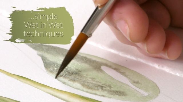 Lords & Ladies (arum maculatum) - Preview with Billy Showell ⎮Watercolour Beautiful