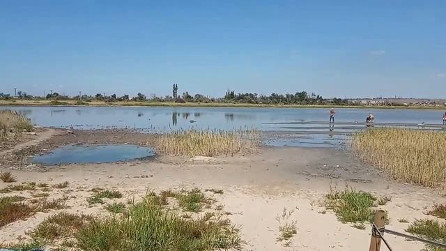 СУПЕР Пляж на Верховой (Бердянск) Чистая вода! Открытое море!