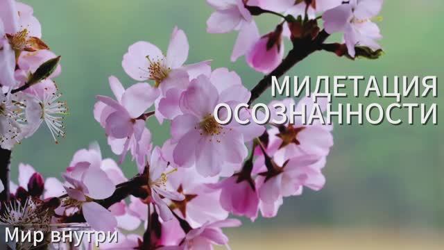 Медитация осознанности | Практика майндфулнесс | Внимание и присутствие