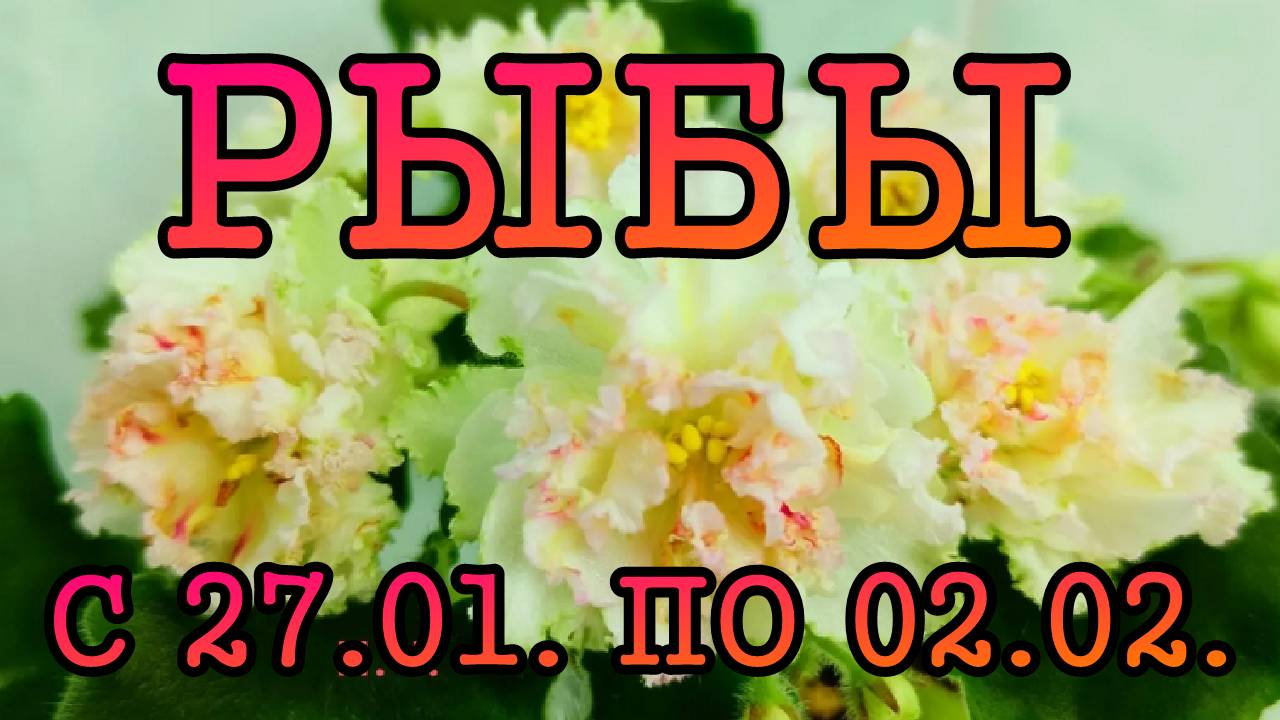 РЫБЫ таро прогноз на неделю с 27 ЯНВАРЯ по 2 ФЕВРАЛЯ 2025 года.