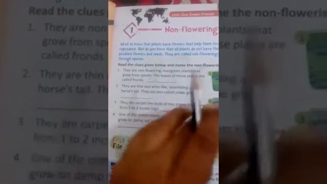 Class 6th  G K Lesson  1 Non Flowering  Plants