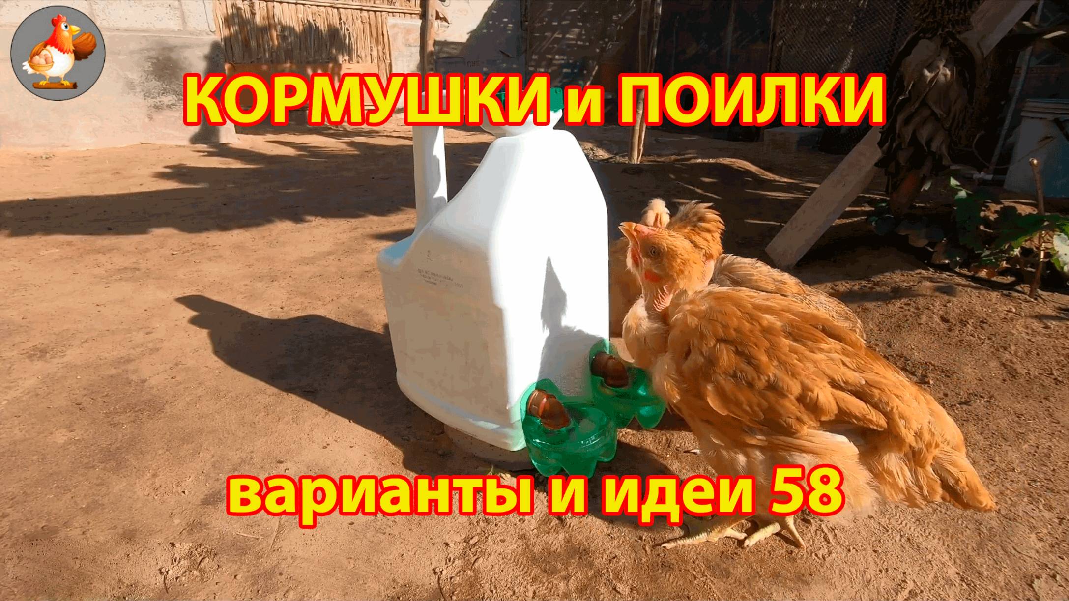 Кормушки и поилки для кур своими руками (58) 🪚✂️ Пошаговая инструкция как сделать 🐔 🐓❣️