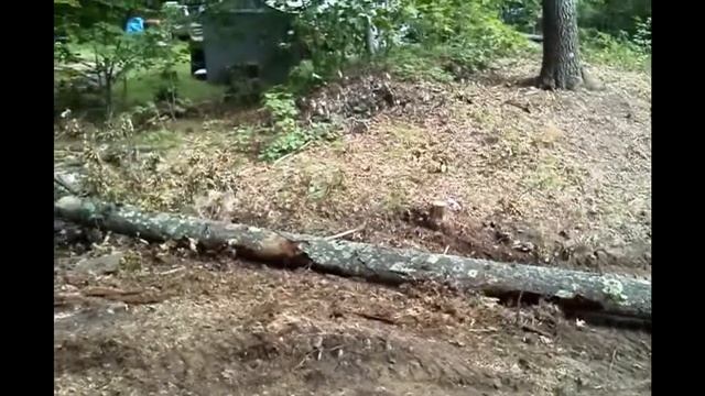 Happy Trees LLC - 55inch Log Grapple in action