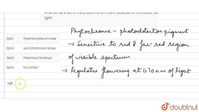 What will be effect on the phytochrome in plant subjected to continuous red light?